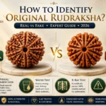 Compare original vs fake Rudraksha with visual signs, X-ray verification, authentic bead features and expert identification guide.