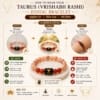 How to wear Taurus (Vrishabh Rashi) Zodiac Bracelet with step-by-step guide, wearing day, left hand instructions, do's and don'ts for daily use.