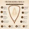 rudraksha-mala-benefits-infographic-golden-cap Infographic showing Rudraksha Mala with golden cap benefits including Shiva blessings, Surya energy, protection, confidence and prosperity.