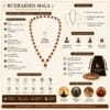 rudraksha-mala-specifications-care-guide Rudraksha Mala specifications, care guide, wearing method, product features and Vedic energised details by Sawariya Gems.